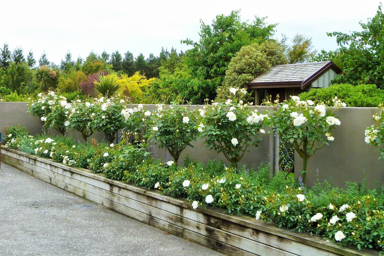 Belle Maison French Country Stay New Plymouth Extérieur photo